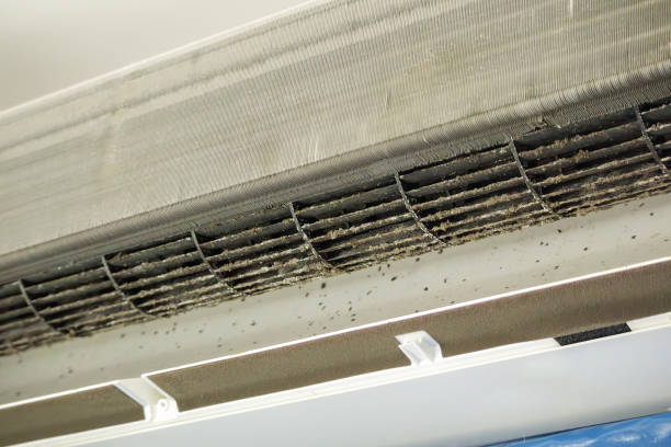 Best HVAC Duct Inspection Services  in Umatilla, OR